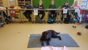 Unterricht mit Hund